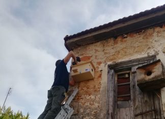 Τεχνητές φωλιές για τα κιρκινέζια στο Εθνικό Πάρκο Λιμνοθαλασσών Μεσολογγίου – Αιτωλικού