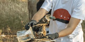 Ο στόχος για καθαρή Κλείσοβα γίνεται πράξη… με πράξεις!