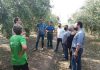 ΥΠΑΑΤ : Από, Δευτέρα, κλιμάκια του ΕΛΓΑ στις περιοχές που επλήγησαν από το χαλάζι