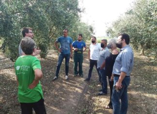 ΥΠΑΑΤ : Από, Δευτέρα, κλιμάκια του ΕΛΓΑ στις περιοχές που επλήγησαν από το χαλάζι