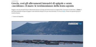 H Corriere Della Sera με ρεπορτάζ για το χωροταξικό των ιχθυοκαλλιεργειών στην Αιτωλοακαρνανία