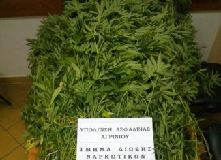 Συνελήφθη επ΄αυτοφώρω χασισοκαλλιεργητής στη Νεάπολη Αγρινίου