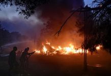 Η χώρα φλέγεται: Από τον «στρατηγό άνεμο» στην ευθύνη της Πολιτείας