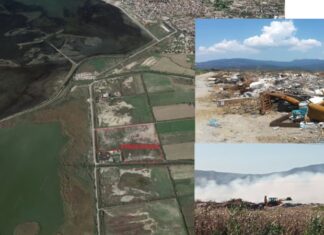 «Κτήμα Πετούνη»: Κάποτε οι ποινικές ευθύνες θα πρέπει να καταλογιστούν