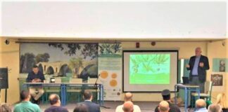 Σε Μεσολόγγι και Μύτικα παρουσιάστηκαν τα ερευνητικά αποτελέσματα για το Μεσογειακό ελαιόλαδο