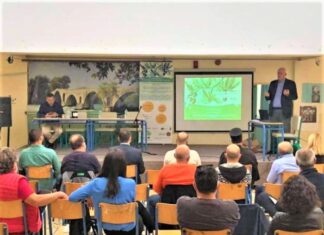 Σε Μεσολόγγι και Μύτικα παρουσιάστηκαν τα ερευνητικά αποτελέσματα για το Μεσογειακό ελαιόλαδο