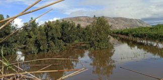 6,7 εκατ. το κόστος της αποκατάστασης στο Λεσίνι – Έτοιμο το τεχνικό δελτίο από την Περιφέρεια