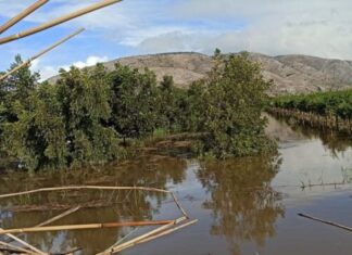 «Χαμένοι» στις ευθύνες ΤΟΕΒ και Περιφέρειας οι παραγωγοί