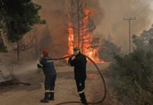 Καμία μετάθεση φέτος, το προσωπικό συνεχώς μειώνεται, λένε οι Πυροσβέστες