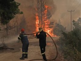Καμία μετάθεση φέτος, το προσωπικό συνεχώς μειώνεται, λένε οι Πυροσβέστες