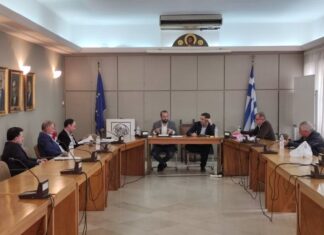 Φαρμάκης: «Κάθετα αντίθετοι στην Μελέτη Περιβαλλοντικών Επιπτώσεων για τη Μεσοχώρα»