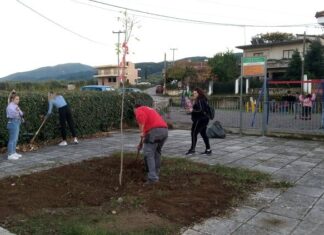 Δενδροφύτευση από την Ακτίνα Εθελοντισμού στο Ζευγαράκι