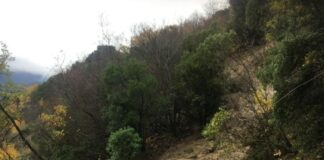 Καθιζήσεις – κατολισθήσεις : Σε ποια σημεία του οδικού δικτύου διακόπηκε η κυκλοφορία