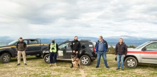 Ειδικά εκπαιδευμένος σκύλος για την ανίχνευση δηλητηριασμένων δολωμάτων