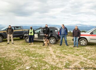 Ειδικά εκπαιδευμένος σκύλος για την ανίχνευση δηλητηριασμένων δολωμάτων