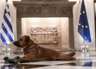 «Σκασμένος» ο Πίνατ με την απογοήτευση Παπαναστασίου