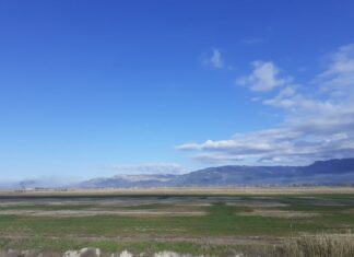 Περιφέρεια: Από το 2021 δηλώθηκε στον ΟΠΕΚΕΠΕ ότι το polder δεν προορίζεται πλέον για αγροτική χρήση