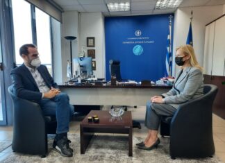 Παραιτήθηκε η Ε. Γιαννιά από τη θέση της Συντονίστριας Πολιτικής Προστασίας της ΠΔΕ