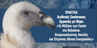 Φορέας Διαχείρισης: Δίκτυα συνεργασίας ωφελούν τους γύπες των Βαλκανίων