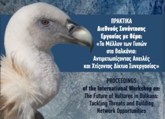 Φορέας Διαχείρισης: Δίκτυα συνεργασίας ωφελούν τους γύπες των Βαλκανίων