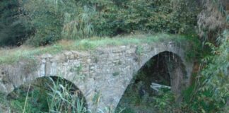 Αγρίνιο : Δημοπρατούνται το κτίριο του Πάρκου και η ανάπλαση στο ρέμα του Αγίου Θωμά