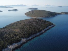 Πωλείται η Μάκρη στις Εχινάδες: Η τιμή-λάστιχο από τα €8 εκατ. στις €247.000