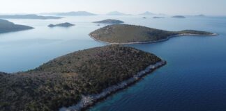 Άγονος ο νέος πλειστηριασμός για τη νήσο Μάκρη στις Εχινάδες