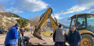 Φυτεύθηκαν τα πρώτα δένδρα υγράμβαρης στην Ψανή