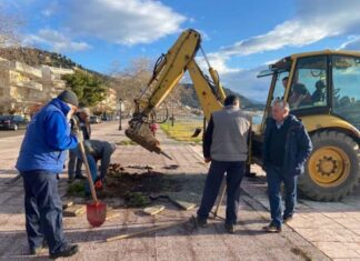 Φυτεύθηκαν τα πρώτα δένδρα υγράμβαρης στην Ψανή