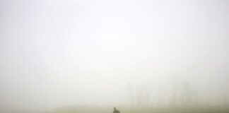 Έκθεσης φωτογραφίας της Kathleen Robbins στο Μεσολόγγι