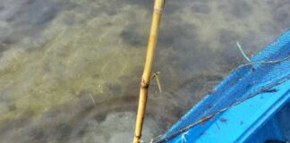 Λιμεναρχείο Μεσολογγίου : Παράνομα αλιευτικά εργαλεία κατασχέθηκαν στο Αιτωλικό