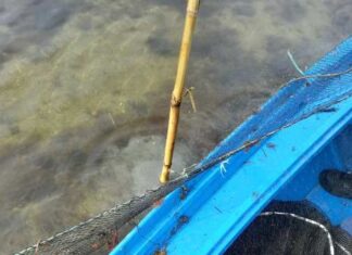 Λιμεναρχείο Μεσολογγίου : Παράνομα αλιευτικά εργαλεία κατασχέθηκαν στο Αιτωλικό