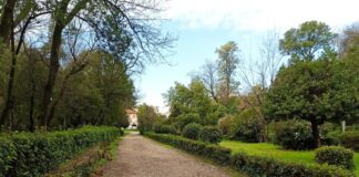 Προπαρασκευαστικές εργασίες στο Πάρκο μέχρι το εργοτάξιο