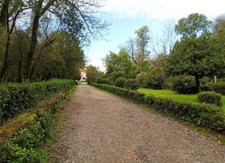 Προπαρασκευαστικές εργασίες στο Πάρκο μέχρι το εργοτάξιο