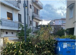 Δήμος Αγρινίου: Ενημέρωση για την εναπόθεση και αποκομιδή κομμένων κλαδιών