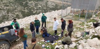 Νέα απελευθέρωση 4 όρνιων στον Αράκυνθο