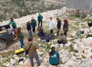 Νέα απελευθέρωση 4 όρνιων στον Αράκυνθο