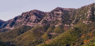 Messolonghi by Locals : Γνωρίζουμε τη Χούνιστα με πεζοπορία και πικ – νικ