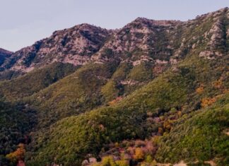 Messolonghi by Locals : Γνωρίζουμε τη Χούνιστα με πεζοπορία και πικ – νικ