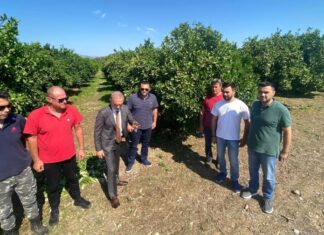 Marios Salmas strikes back