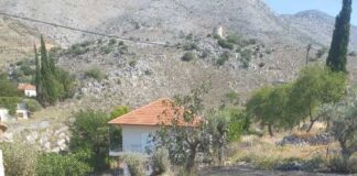 Κατασβήστηκε άμεσα επικίνδυνη φωτιά στο Αρχοντοχώρι