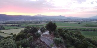 Παρουσιάζεται στο Αγγελόκαστρο το βιβλίο του Ευθ. Πριόβολου