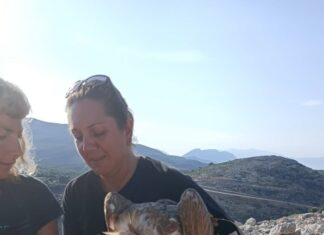 Δορυφορικοί πομποί σε ευάλωτα είδη ορνιθοπανίδας στο Εθνικό Πάρκο Λιμνοθαλασσών Μεσολογγίου – Αιτωλικού