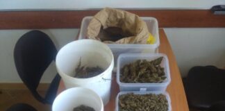 Συνελήφθη διακινητής ναρκωτικών με δύο κιλά χασίς στο Αγρίνιο