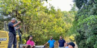 Παρεμβάσεις σε αγροτική και δασική οδοποιία με μηχανήματα της Περιφέρειας