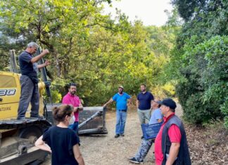 Παρεμβάσεις σε αγροτική και δασική οδοποιία με μηχανήματα της Περιφέρειας