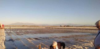 Ο Προκόπης Παυλόπουλος στο Μουσείο Άλατος