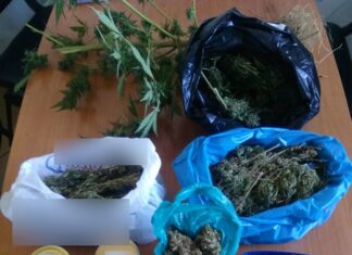 Συνελήφθη καλλιεργητής ναρκωτικών στo Αγρίνιο