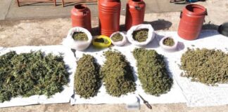 Μεσολόγγι : Συνελήφθησαν δυο διακινητές με 17,5 κιλά χασίς