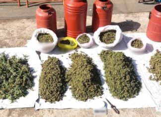 Μεσολόγγι : Συνελήφθησαν δυο διακινητές με 17,5 κιλά χασίς